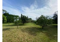 Fincas y Casas Campestres, Venta, Arjona - $1.800.000.000