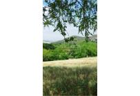 Lotes, Venta, Dapa - $2.500.000.000