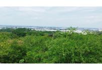 Lotes, Venta, Dapa - $2.500.000.000