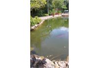 Lotes, Venta, Dapa - $2.500.000.000