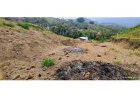 Lotes, Venta, La Reforma - $250.000.000