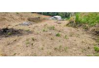 Lotes, Venta, La Reforma - $250.000.000