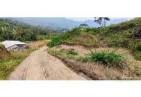 Lotes, Venta, La Reforma - $250.000.000