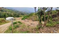Lotes, Venta, La Reforma - $250.000.000