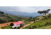 Lotes, Venta, La Reforma - $250.000.000