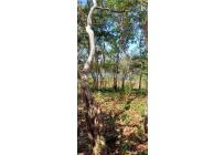 Lotes, Venta, Cartagena - $522.000.000