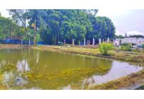 Casas, Venta, Cascajal - $2.500.000.000