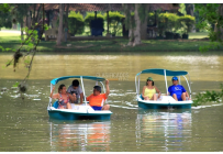 Casas, Venta, Santander de Quilichao - $1.120.000.000