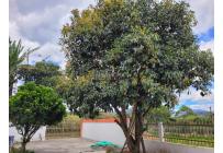 Casas, Venta, Popayán - $1.500.000.000