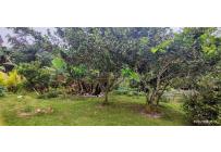 Casas, Venta, Dagua - $820.000.000