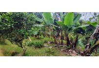 Casas, Venta, Dagua - $820.000.000