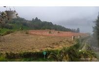Lotes, Venta, Calima (Darién) - $1.765.390.000