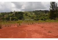 Lotes, Venta, Calima (Darién) - $1.765.390.000