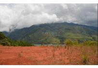 Lotes, Venta, Calima (Darién) - $1.765.390.000