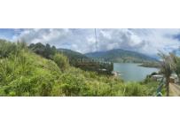 Lotes, Venta, Calima (Darién) - $1.765.390.000