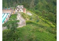 Fincas y Casas Campestres, Venta, Manizales - $1.350.000.000