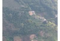 Fincas y Casas Campestres, Venta, Manizales - $1.350.000.000