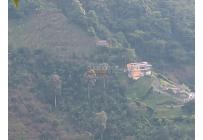 Fincas y Casas Campestres, Venta, Manizales - $1.350.000.000