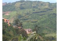 Fincas y Casas Campestres, Venta, Manizales - $1.350.000.000
