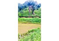 Lotes, Venta, Anapoima - $4.000.000.000