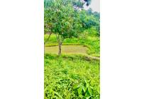 Lotes, Venta, Anapoima - $4.000.000.000
