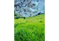 Lotes, Venta, Anapoima - $4.000.000.000
