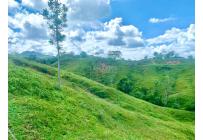Lotes, Venta, Anapoima - $4.000.000.000