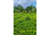 Lotes, Venta, Anapoima - $4.000.000.000