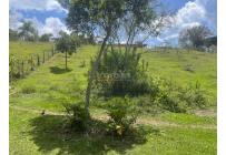 Lotes, Venta, La Cumbre - $200.000.000
