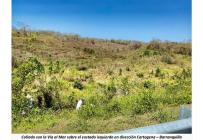 Lotes, Venta, Cartagena - $3.950.000.000