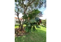 Fincas y Casas Campestres, Venta, Dagua - $1.590.000.000