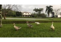 Lotes, Venta, Jamundí - $550.000.000