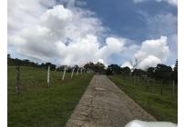 Fincas y Casas Campestres, Venta, Dagua - $870.000.000