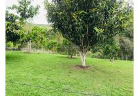 Fincas y Casas Campestres, Venta, Dagua - $870.000.000