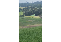 Fincas y Casas Campestres, Venta, Subachoque - $6.450.000.000
