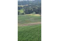 Fincas y Casas Campestres, Venta, Subachoque - $6.450.000.000