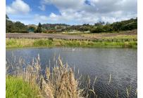 Fincas y Casas Campestres, Venta, Subachoque - $6.450.000.000
