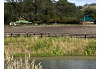 Fincas y Casas Campestres, Venta, Subachoque - $6.450.000.000