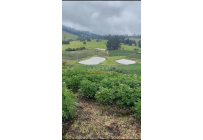 Fincas y Casas Campestres, Venta, Subachoque - $6.450.000.000