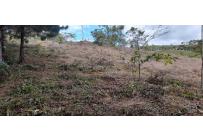 Lotes, Venta, Dagua - $260.000.000