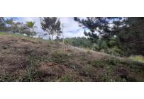 Lotes, Venta, Dagua - $260.000.000