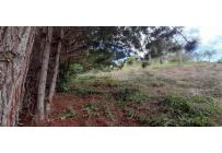 Lotes, Venta, Dagua - $260.000.000