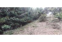 Lotes, Venta, Dagua - $260.000.000