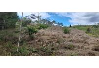 Lotes, Venta, Dagua - $260.000.000