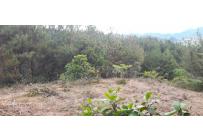 Lotes, Venta, Dagua - $260.000.000