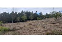 Lotes, Venta, Dagua - $260.000.000