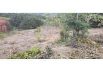 Lotes, Venta, Dagua - $260.000.000