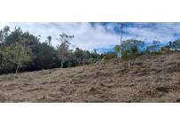 Lotes, Venta, Dagua - $260.000.000