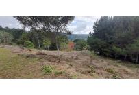 Lotes, Venta, Dagua - $260.000.000