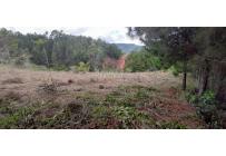 Lotes, Venta, Dagua - $260.000.000